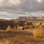 moabweb1
