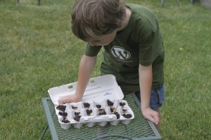 Eggshell Science