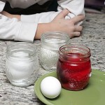 egg science project