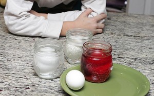 egg science project