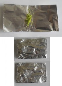 printable seed packets