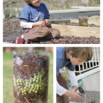 soda compost
