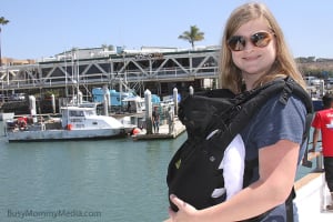 LILLEbaby Complete Carrier