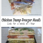 MORE Chicken Dump Freezer Meals