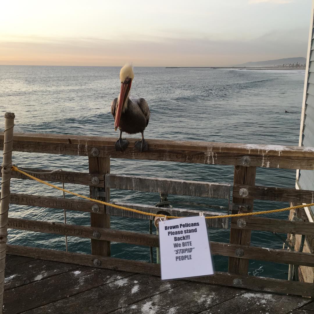 Oceanside Pier