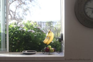 Clean your Kitchen in 10 Minutes or Less