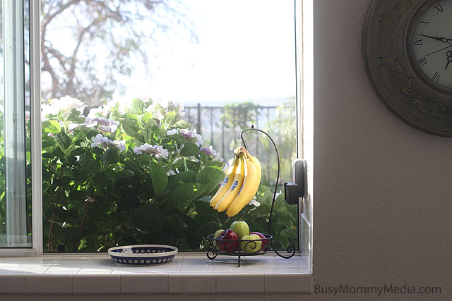 Clean your Kitchen in 10 Minutes or Less