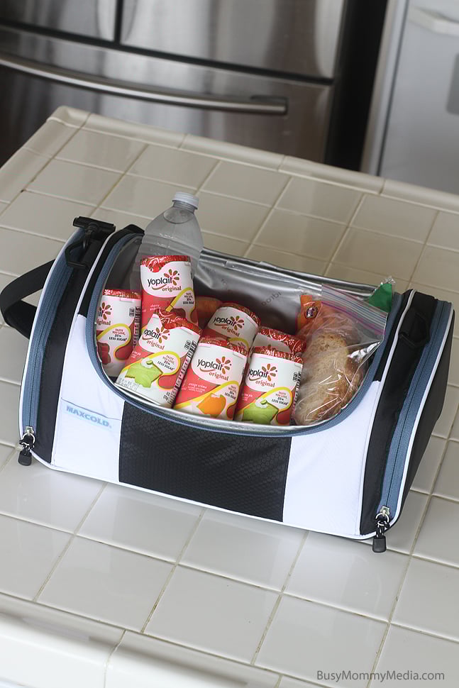 Ultimate Guide to Road Trip Snacks