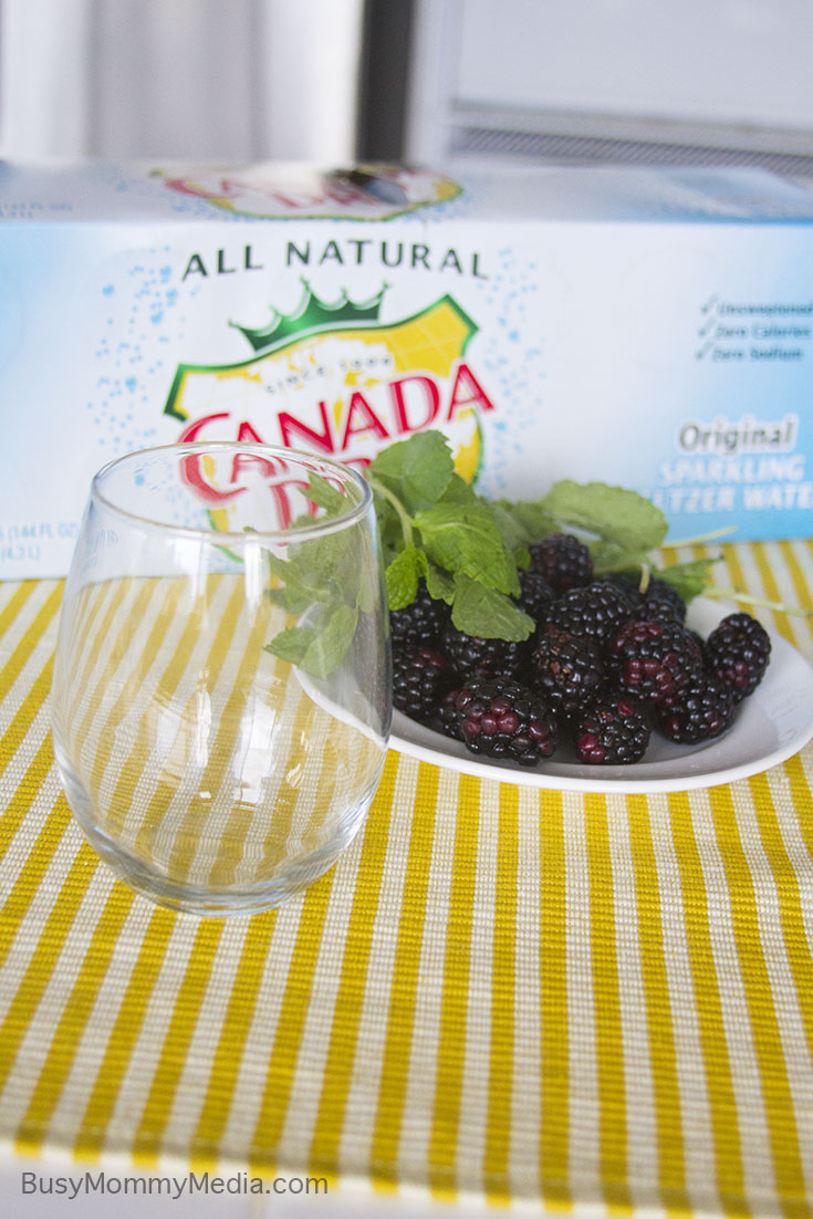 Blackberry Mint Sparkling Water on BusyMommyMedia.com