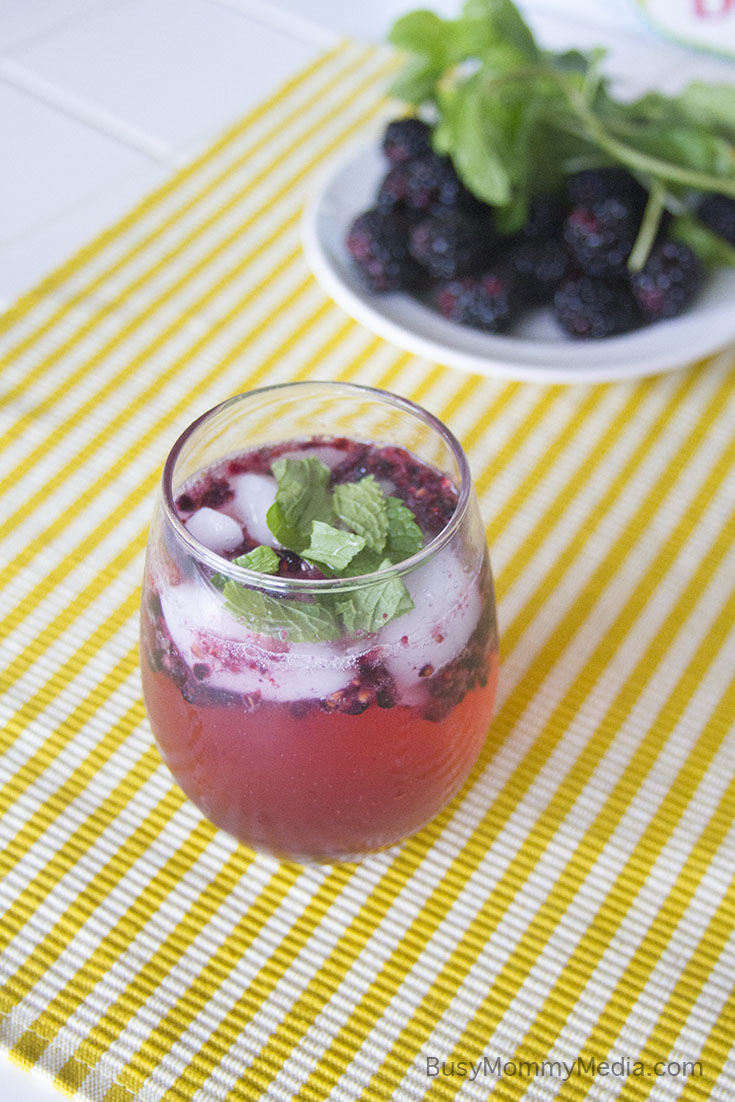 Blackberry Mint Sparkling Water on BusyMommyMedia.com