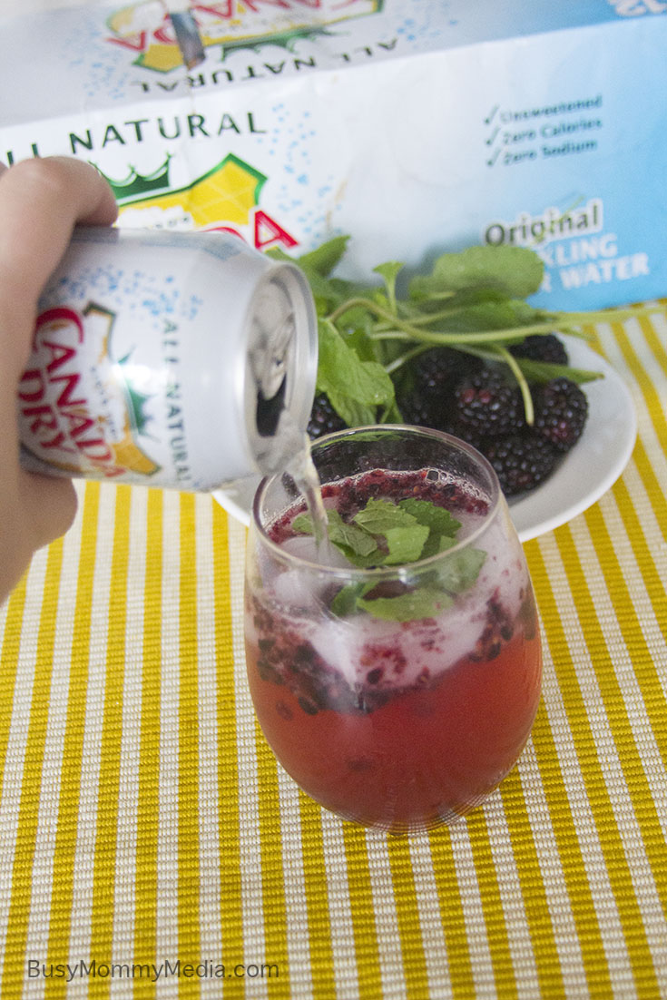 Blackberry Mint Sparkling Water on BusyMommyMedia.com