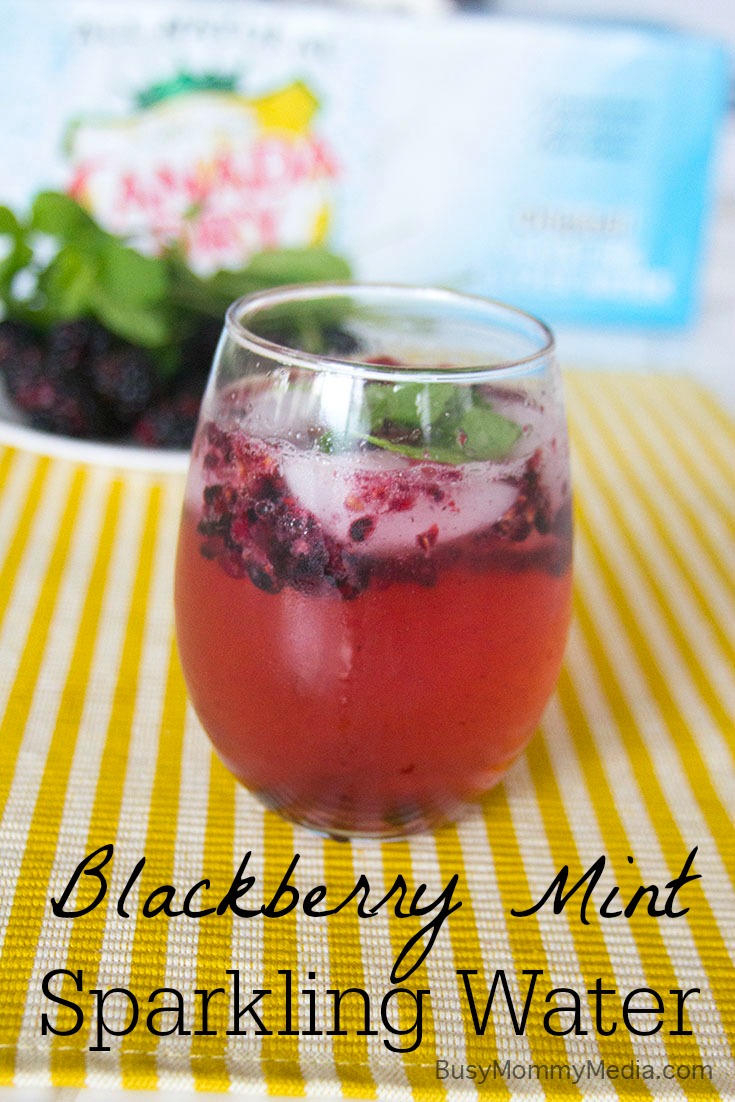 Blackberry Mint Sparkling Water on BusyMommyMedia.com