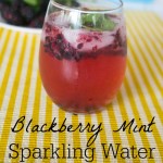 Blackberry Mint Sparkling Water on BusyMommyMedia.com
