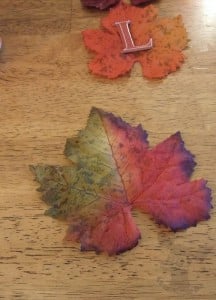 Bring a finale of fall color into your home with this DIY autumn burlap welcome sign!