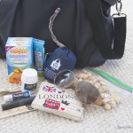 Purse essentials for busy moms
