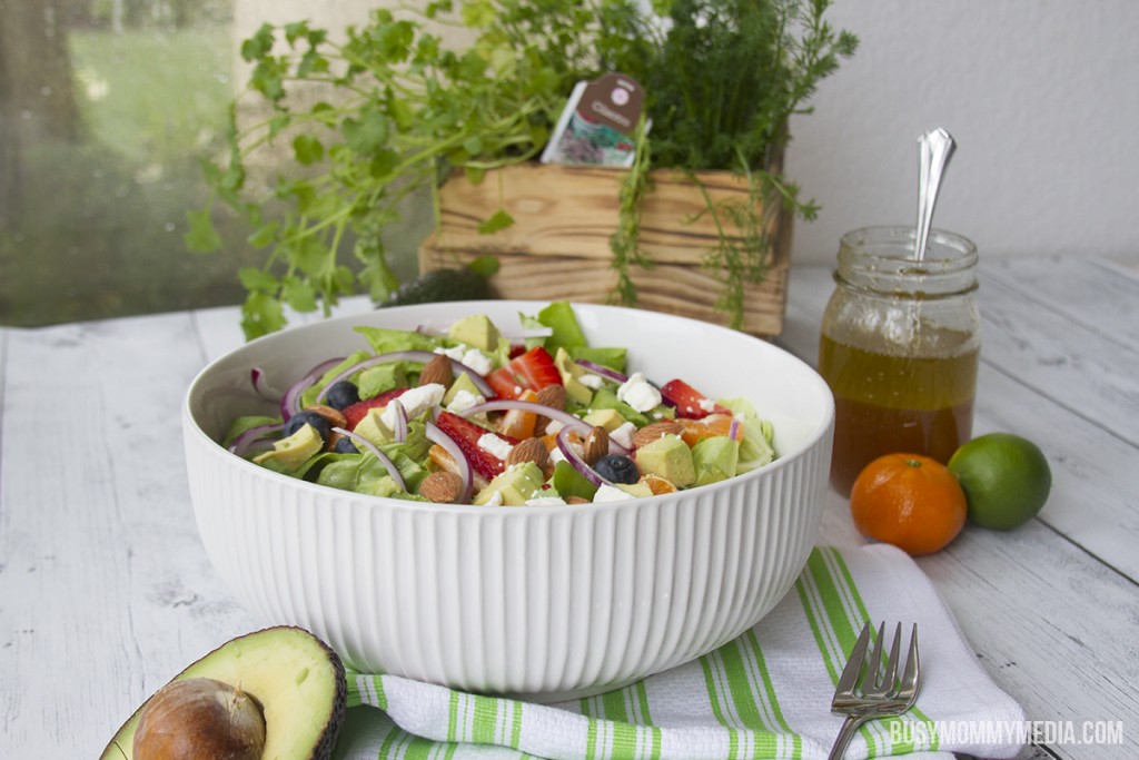 Berry Citrus Salad with Honey Lime Vinaigrette 