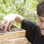 How to Plant a Salsa Garden with Kids