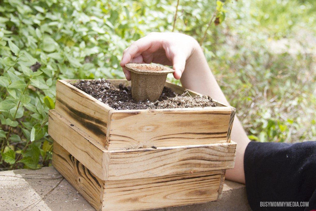 How to Plant a Salsa Garden with Kids