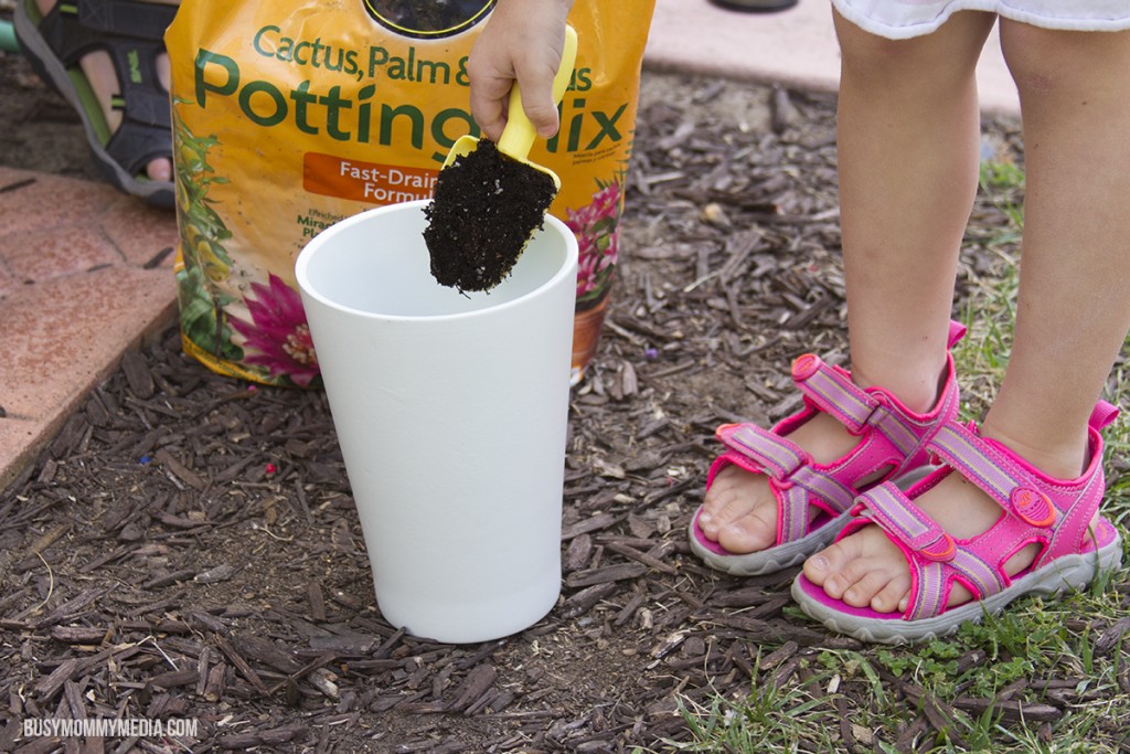 DIY Succulent Planter for Kids
