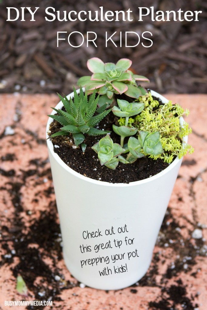 DIY Succulent Planter for Kids | I love this! I never would have thought of this trick for planting with kids. What a great idea!