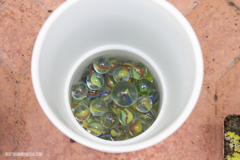 DIY Succulent Planter for Kids