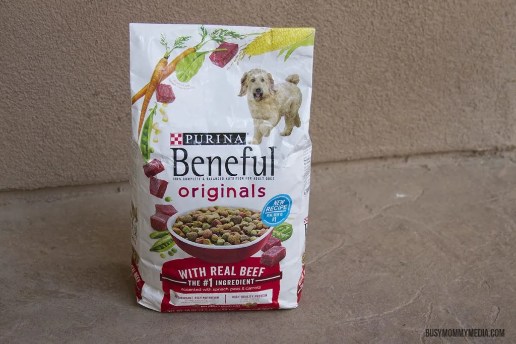 DIY Tennis Ball Sock Dog Toy