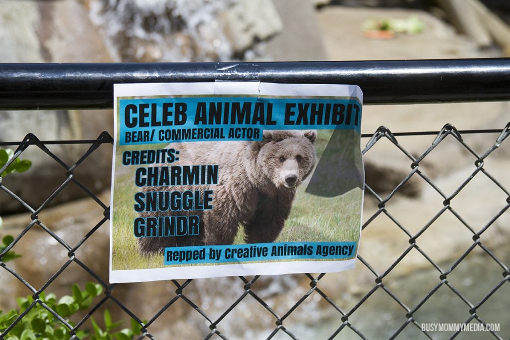 celebrity sighting at the LA Zoo