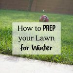 How to Prep your Lawn for Winter