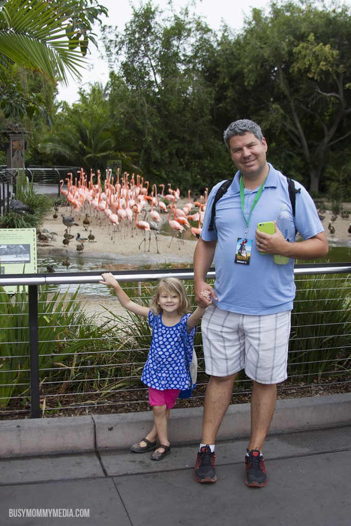 Sleepover at the San Diego zoo