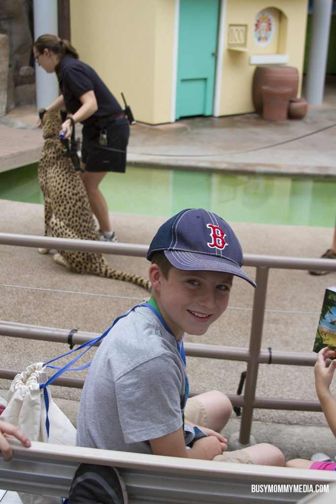 San Diego Zoo Sleepover