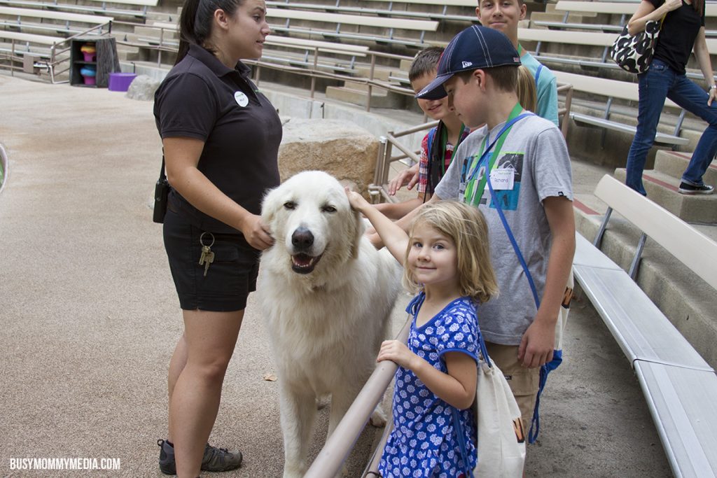 San Diego Zoo