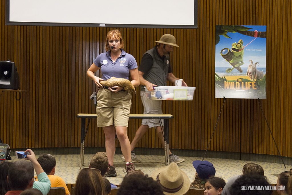 The Wild Life Zoo Sleepover