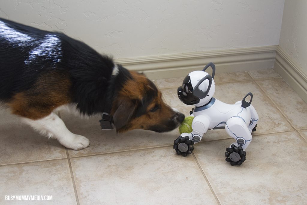 WowWee Chip toy