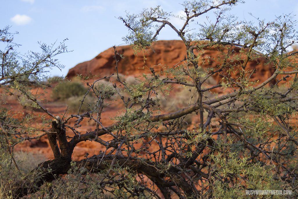 Southern Utah Adventure