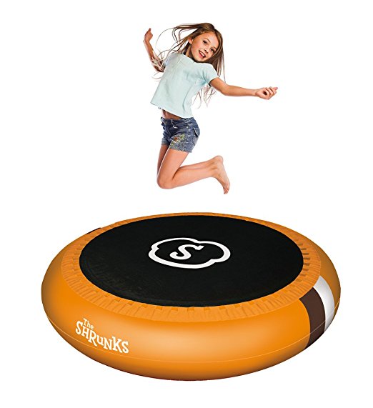 The Shrunks Trampoline Pool