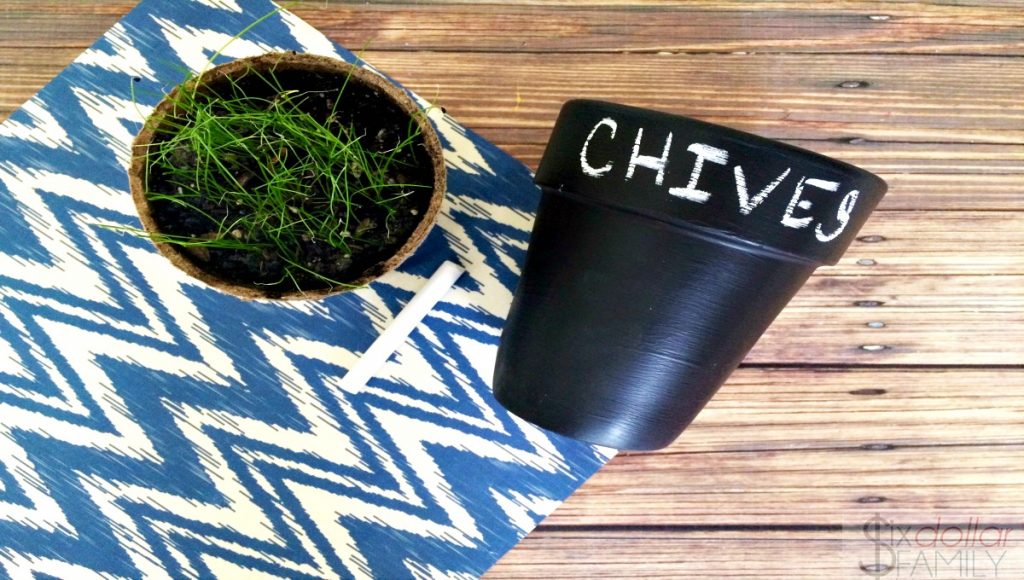 DIY Chalkboard Planter 