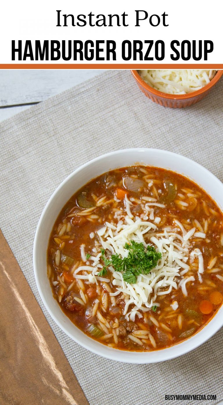 Instant Pot Hamburger Orzo Soup