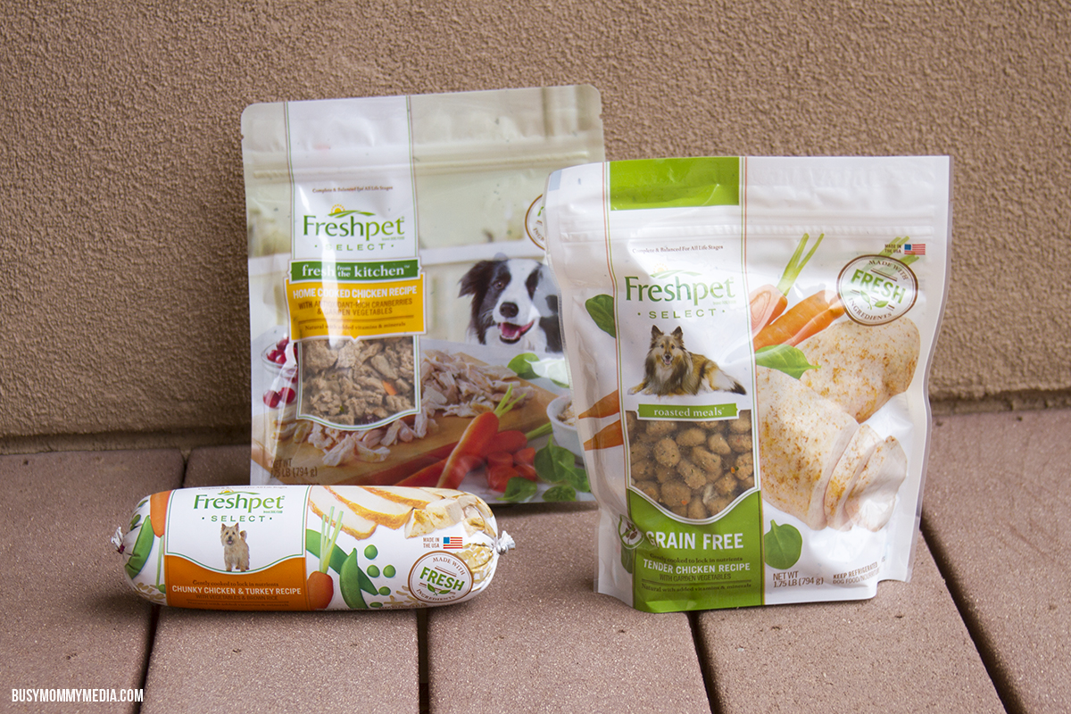 How to Pamper your Pet at Mealtime