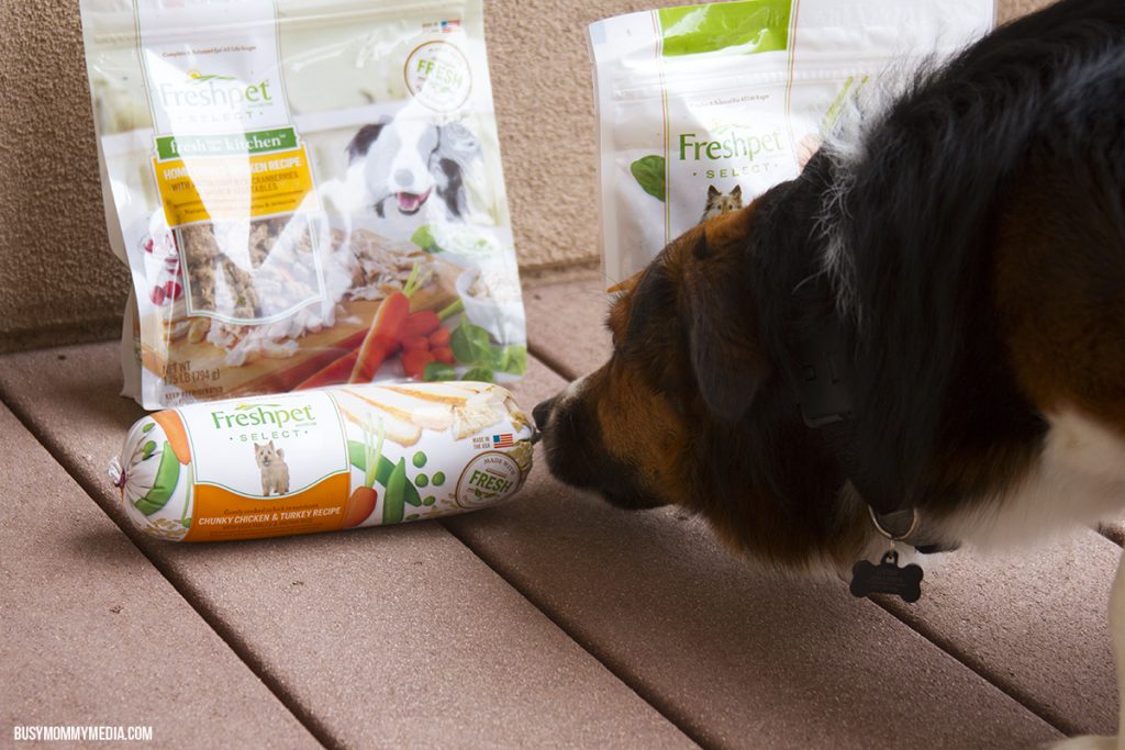Fresh Pet Dog Food