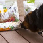 Fresh Pet Dog Food
