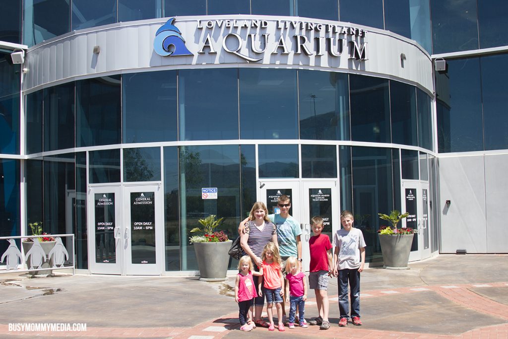 Loveland Planet Aquarium
