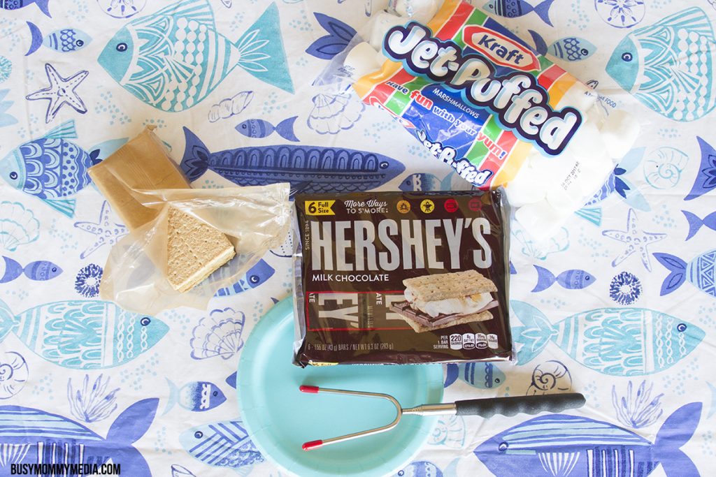 S'mores ingredients