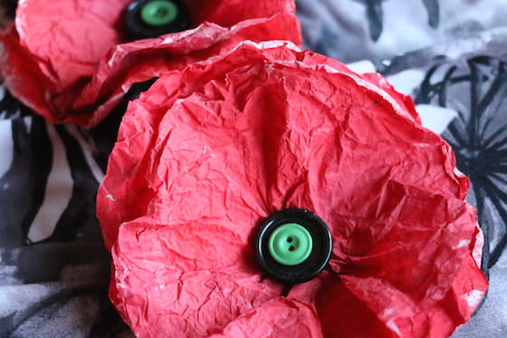 Coffee Filter Poppy Craft