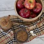 Homemade Instant Pot Applesauce