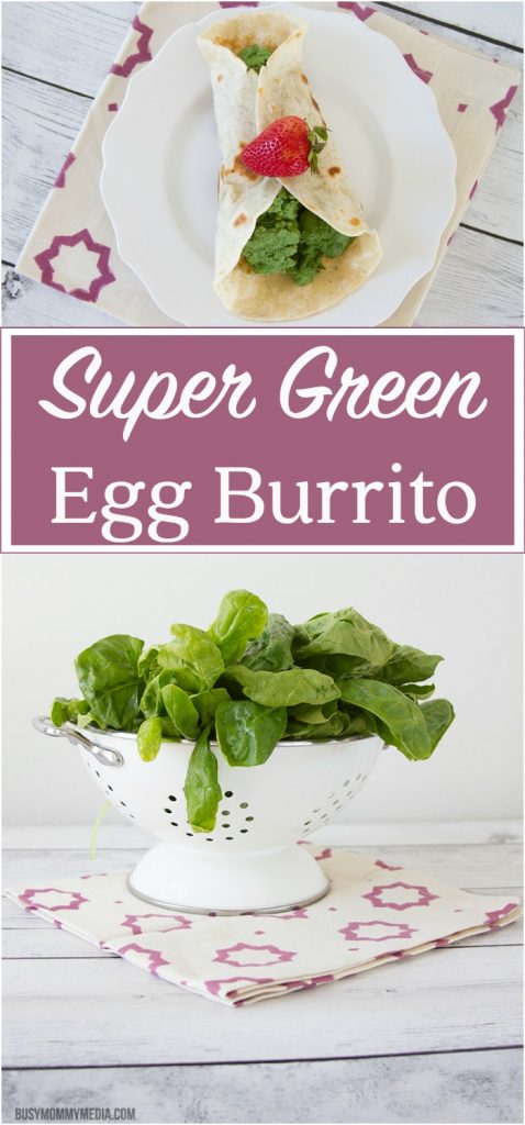 Super Green Egg Burrito