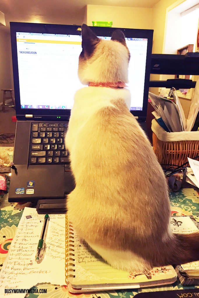 Work at home mom 