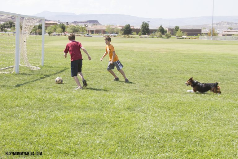 Fuel for active kids