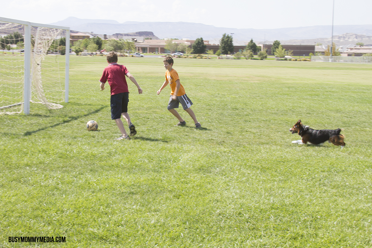 Fuel for active kids