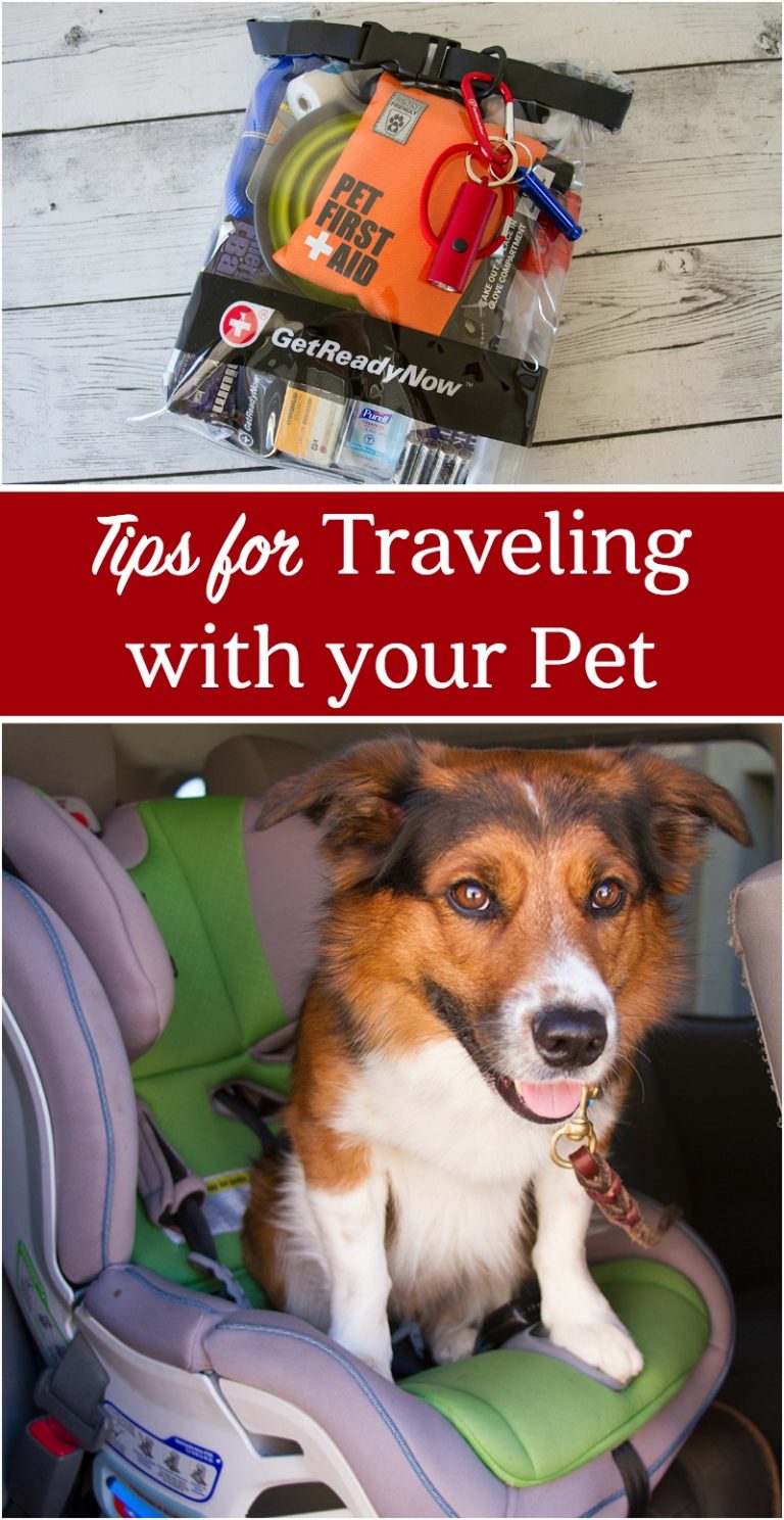 Tips for Traveling with your Pet