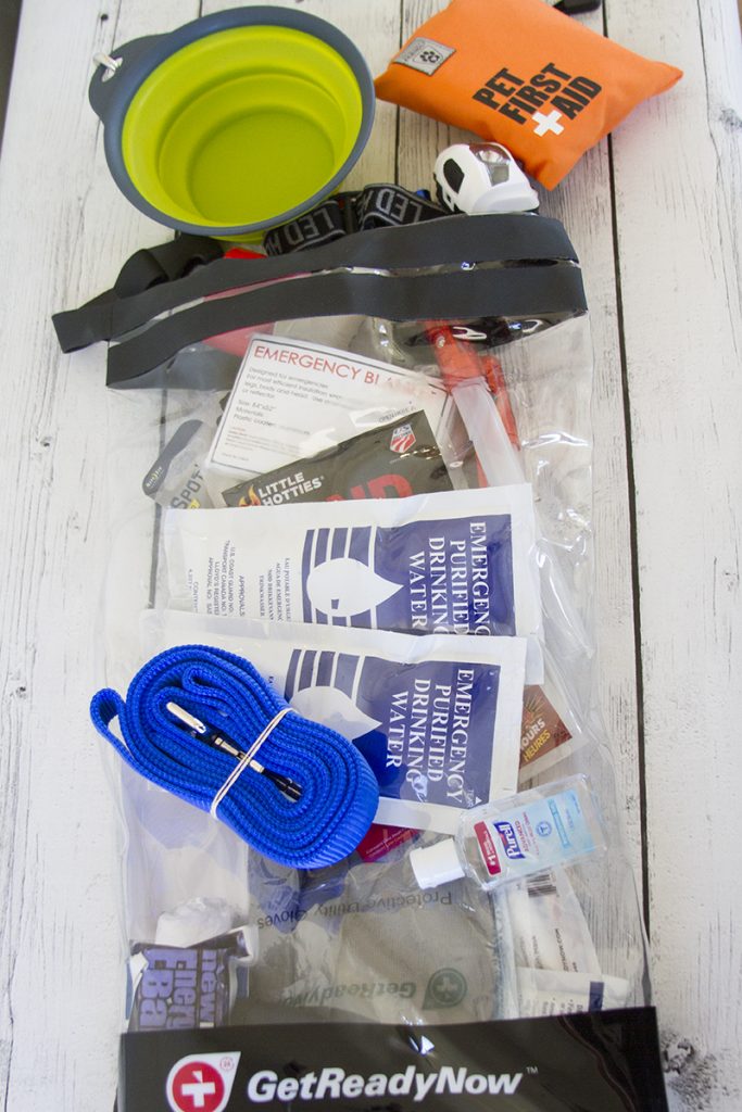 Get Ready Now Pet First Aid Kit